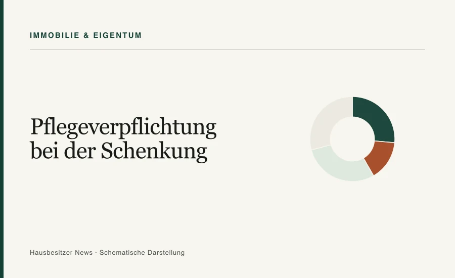 Redaktionsgrafik mit dem Titel »Pflegeverpflichtung bei der Schenkung« und einem segmentierten Ringdiagramm