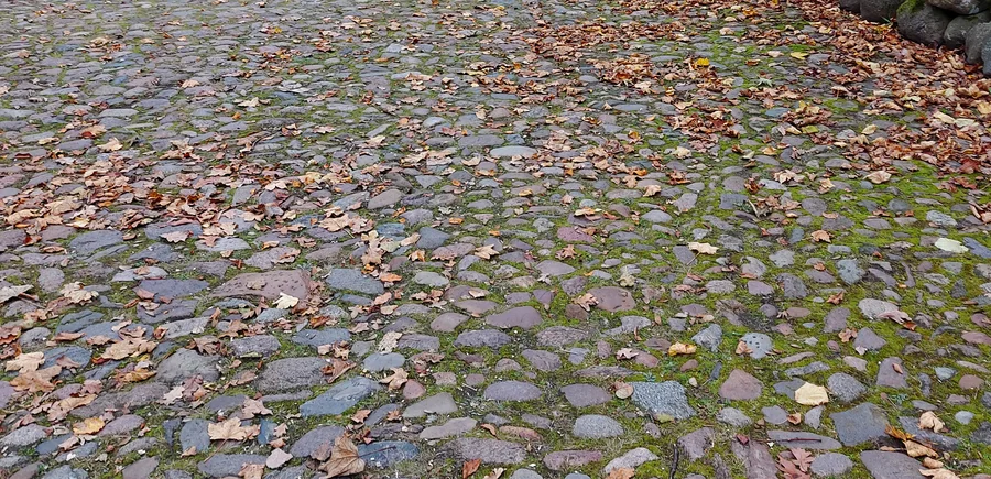 Natursteinpflaster mit begrünten Fugen und verstreutem Herbstlaub