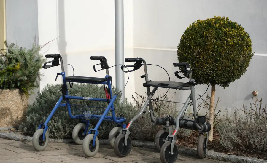 Ein blauer und ein grauer Rollator stehen auf dem Pflaster vor einer weiß verputzten Wand, daneben ein kugelförmig geschnittenes Bäumchen und Lavendel