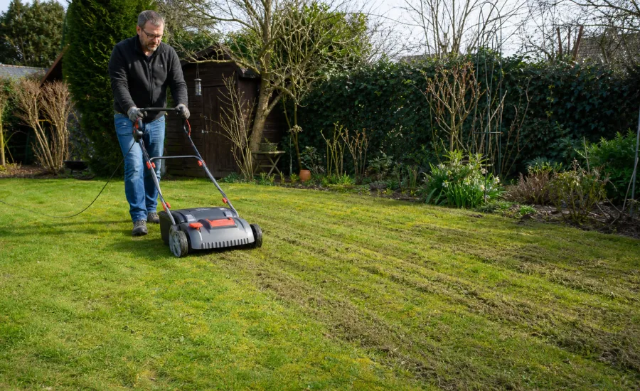 Gartenbesitzer vertikutiert einen leicht vermoosten Rasen
