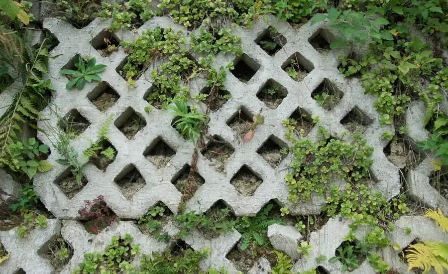 Rasengittersteine aus Beton, in deren Öffnungen Gras und Kräuter wachsen