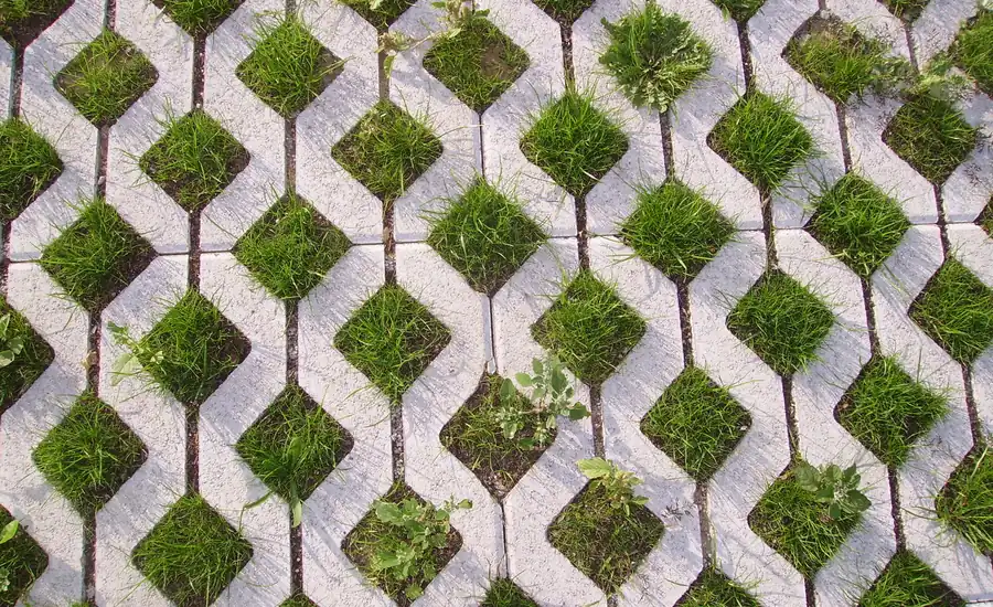 Betonrasengittersteine mit durchwachsendem Gras von oben fotografiert