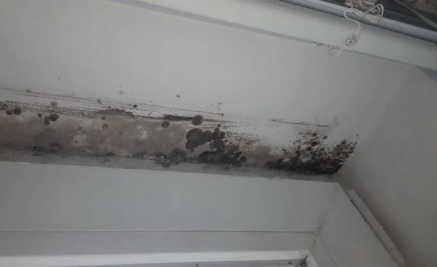 Schwarze Schimmelflecken an der Wand-Decken-Kante unter einer Dachschräge