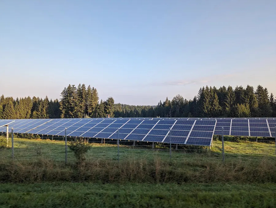 Freiflächen-Photovoltaikanlage mit Modulreihen vor einem Nadelwald