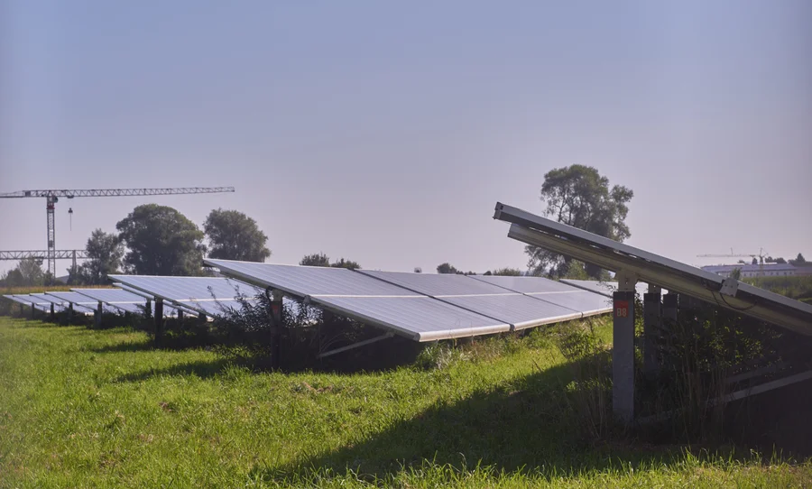 Aufgeständerte Photovoltaikmodule auf einer Wiese, dahinter Bäume und Baukräne