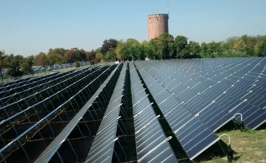 Reihen flach aufgeständerter Solarthermie-Kollektoren auf einer Freifläche mit Bäumen im Hintergrund
