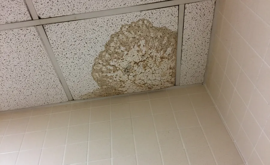 Braun verfärbter, aufgequollener Wasserfleck an einer Deckenplatte in der Ecke eines gefliesten Raums