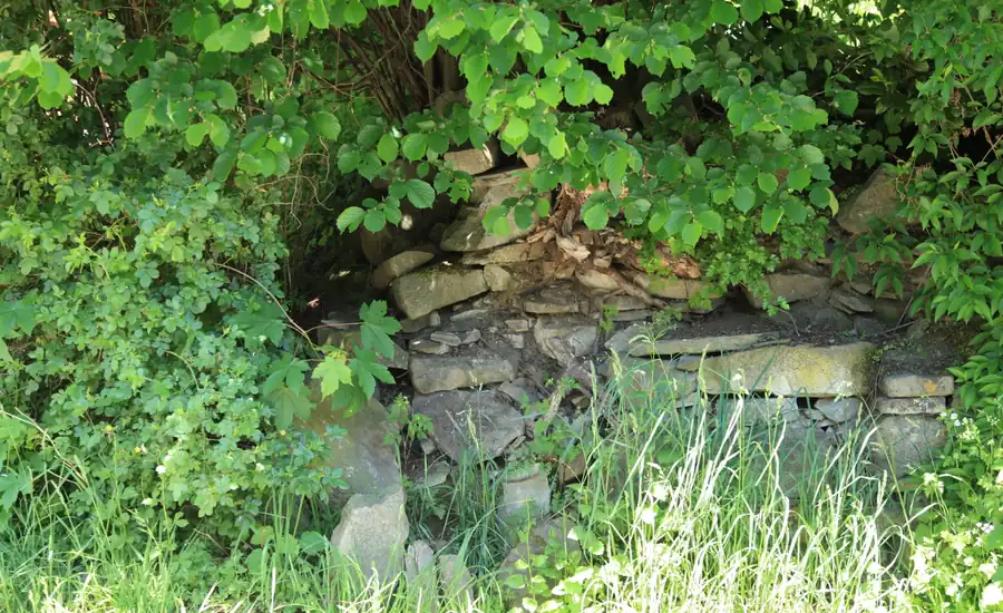 Alte, teilweise überwachsene Bruchsteinmauer als Grundstückseinfriedung
